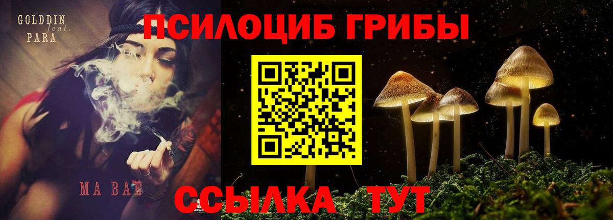 Серов  Псилоцибиновые грибы прущие грибы  Вход с VPN 